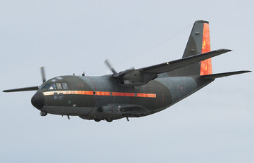 MM62141 - Italy - Air Force Alenia Aermacchi G-222
