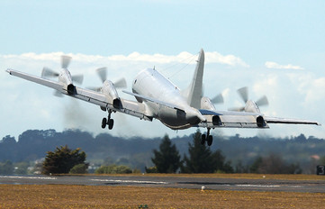 NZ4205 - New Zealand - Air Force Lockheed P-3K Orion