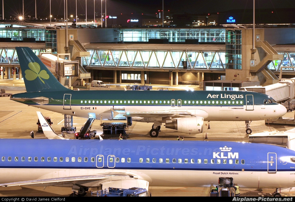 Aer Lingus EI-DVE aircraft at Amsterdam - Schiphol