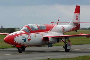 2004 - Poland - Air Force: White & Red Iskras PZL TS-11 Iskra
