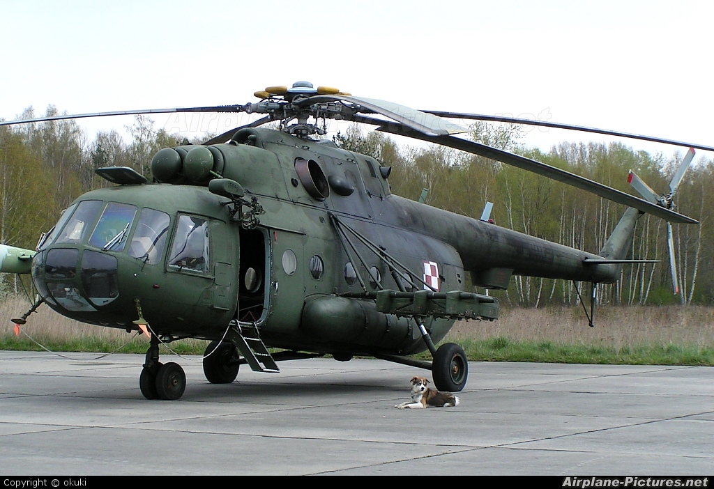 Poland - Army 601 aircraft at Off Airport - Poland