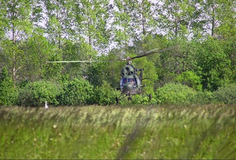 - - Poland - Army Mil Mi-2