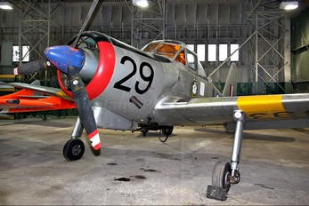 G-BDYG - Private Percival P.56 Provost T.1