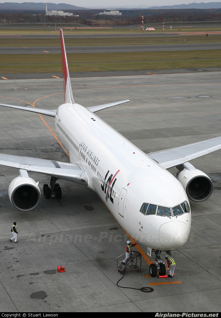 JAL - Japan Airlines JA8299 aircraft at New Chitose