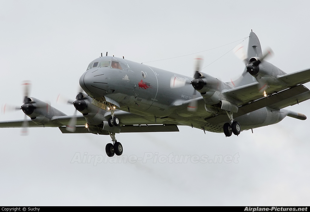 Canada - Air Force 140101 aircraft at Leeuwarden