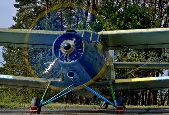 - - Poland - Air Force Antonov An-2