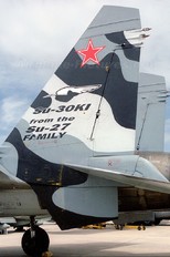 - - Russia - Air Force Sukhoi Su-30KI
