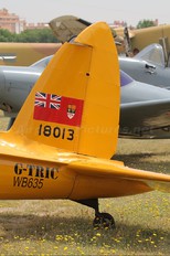 G-TRIC - Fundación Infante de Orleans - FIO de Havilland Canada DHC-1 Chipmunk