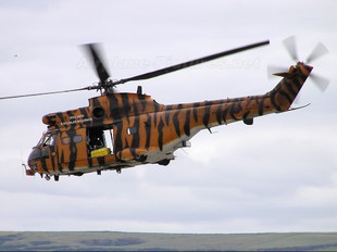 XW231 - Royal Air Force Westland Puma HC.1