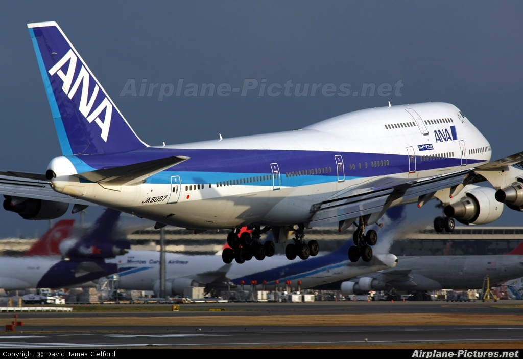 JA8097 - ANA - All Nippon Airways Boeing 747-400 at Tokyo - Narita 