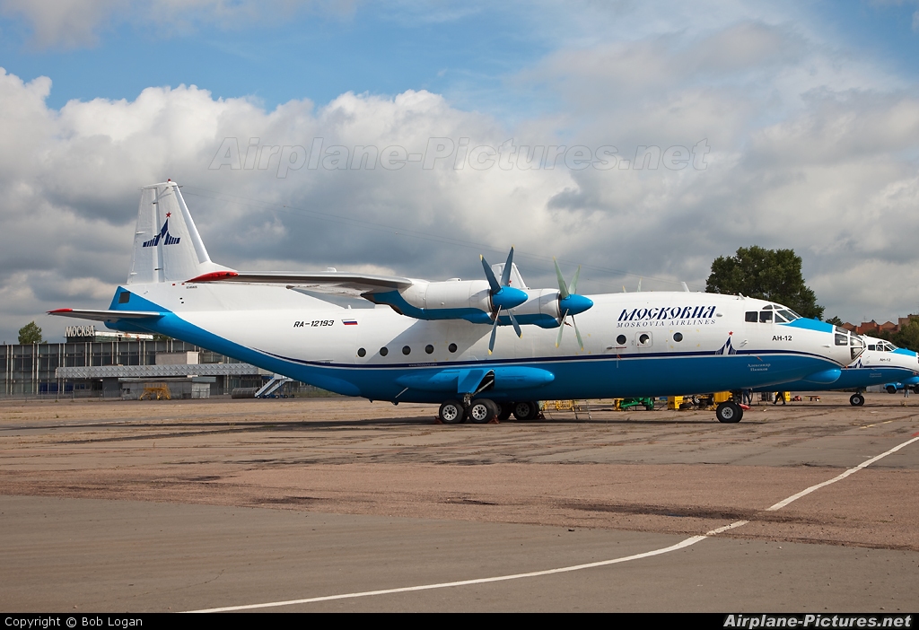 Moskovia Airlines RA-12193 aircraft at Moscow - Bykovo
