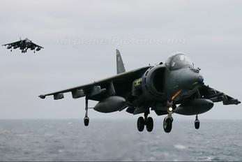 ZD346 - Royal Air Force British Aerospace Harrier GR.7