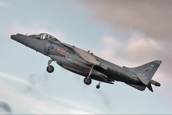 ZG508 - Royal Air Force British Aerospace Harrier GR.9