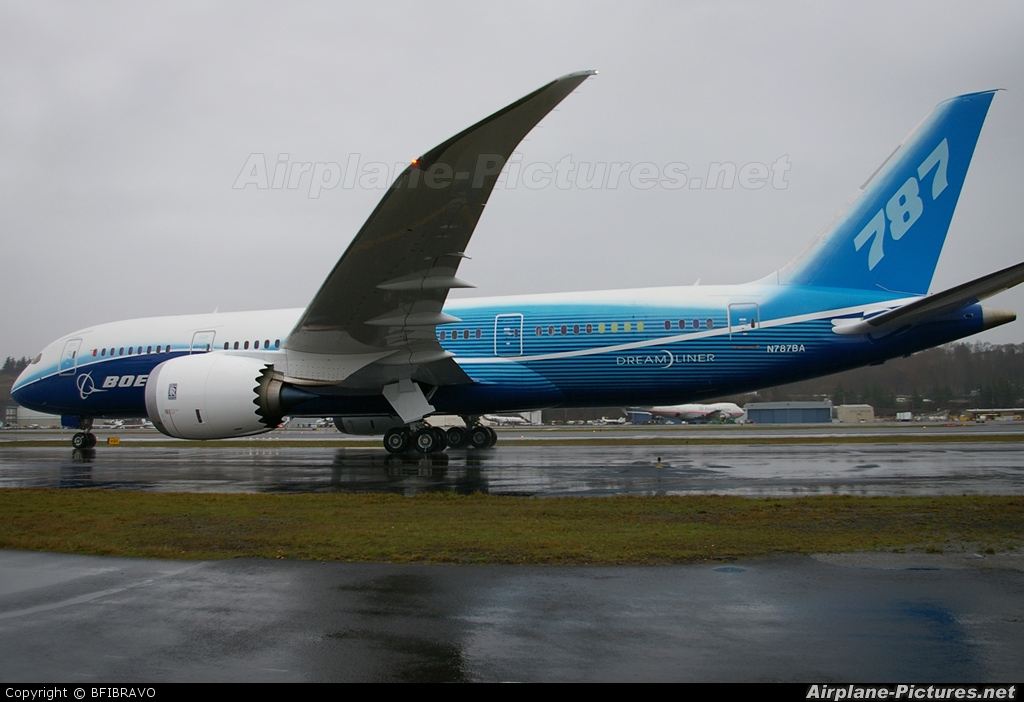Boeing Company N787BA aircraft at Seattle - Boeing Field / King County Intl