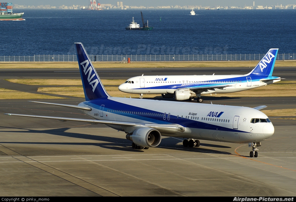 ANA - All Nippon Airways JA8971 aircraft at Tokyo - Haneda Intl