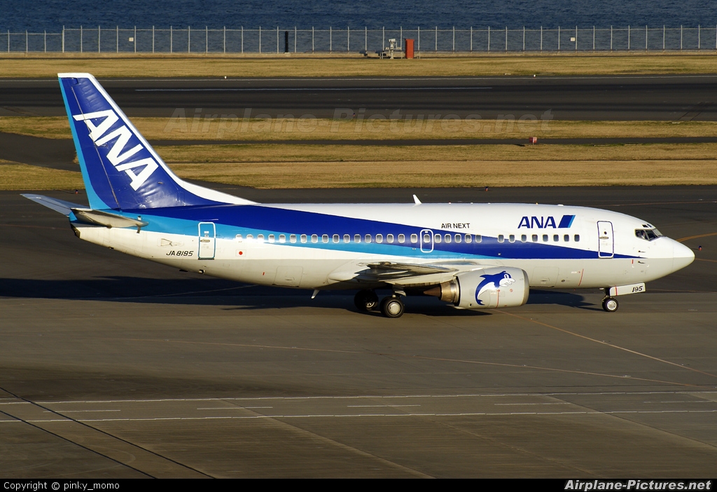 ANA - Air Next JA8195 aircraft at Tokyo - Haneda Intl
