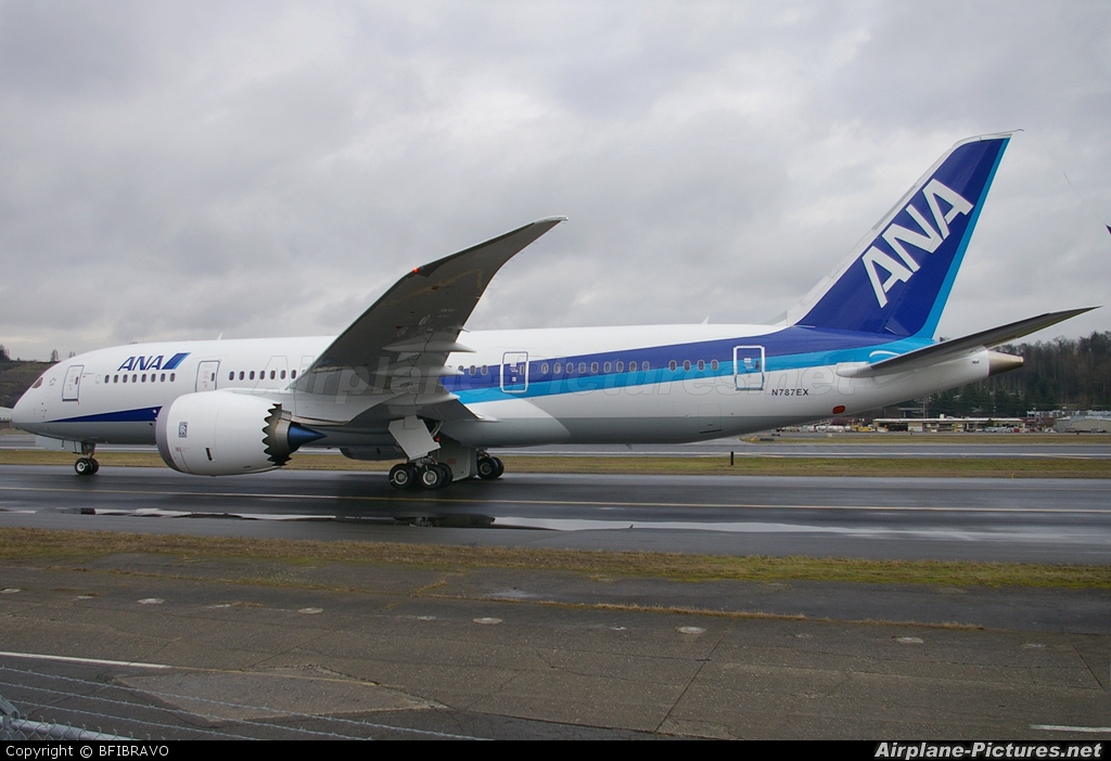 ANA - All Nippon Airways N787EX aircraft at Seattle - Boeing Field / King County Intl