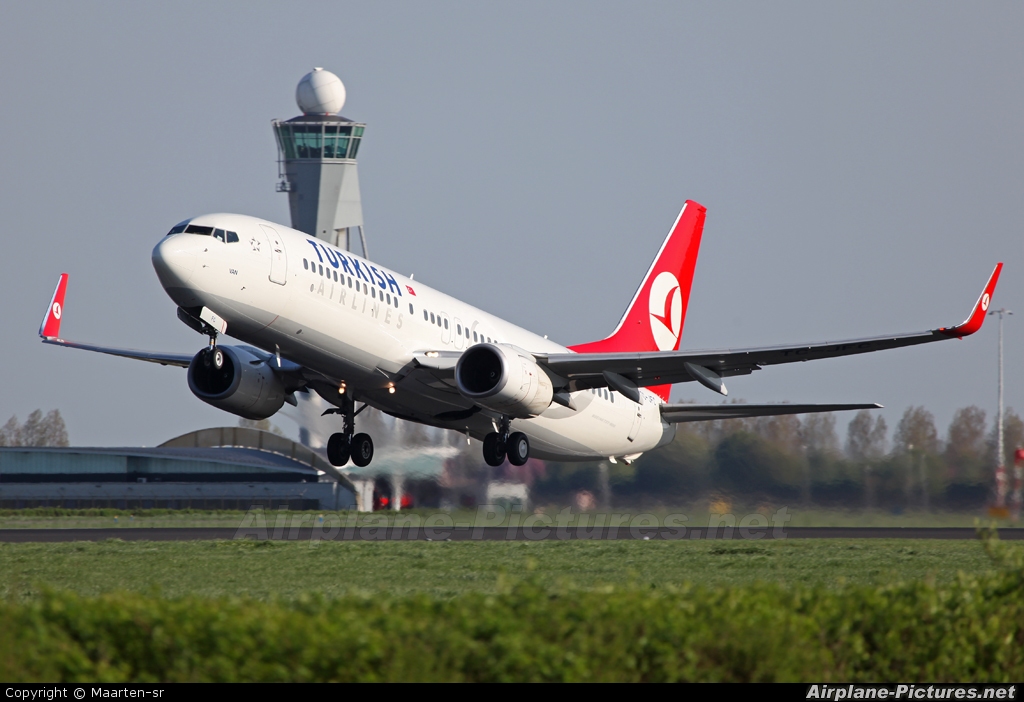 Turkish Airlines TC-JFC aircraft at Amsterdam - Schiphol