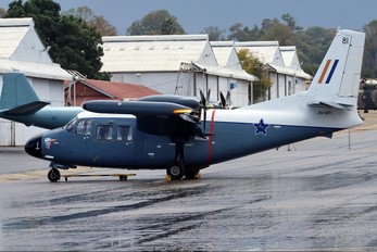 ZU-DFI - South Africa - Air Force Museum Piaggio P.166 Albatross (all models)