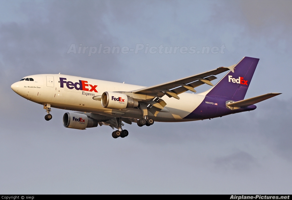 FedEx Federal Express N801FD aircraft at Tel Aviv - Ben Gurion
