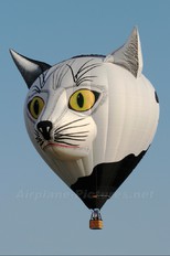 D-OMIK - Private Schroeder Fire Balloons Special shape - Kater