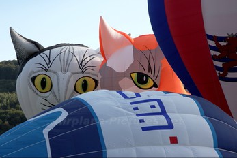 D-OMIK - Private Schroeder Fire Balloons Special shape - Kater