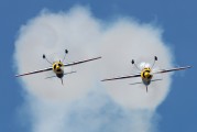 G-IIIS - The Flying Bulls : Aerobatics Team Sukhoi Su-26M2 aircraft