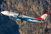 OE-LNS - Austrian Airlines/Arrows/Tyrolean Boeing 737-800 aircraft