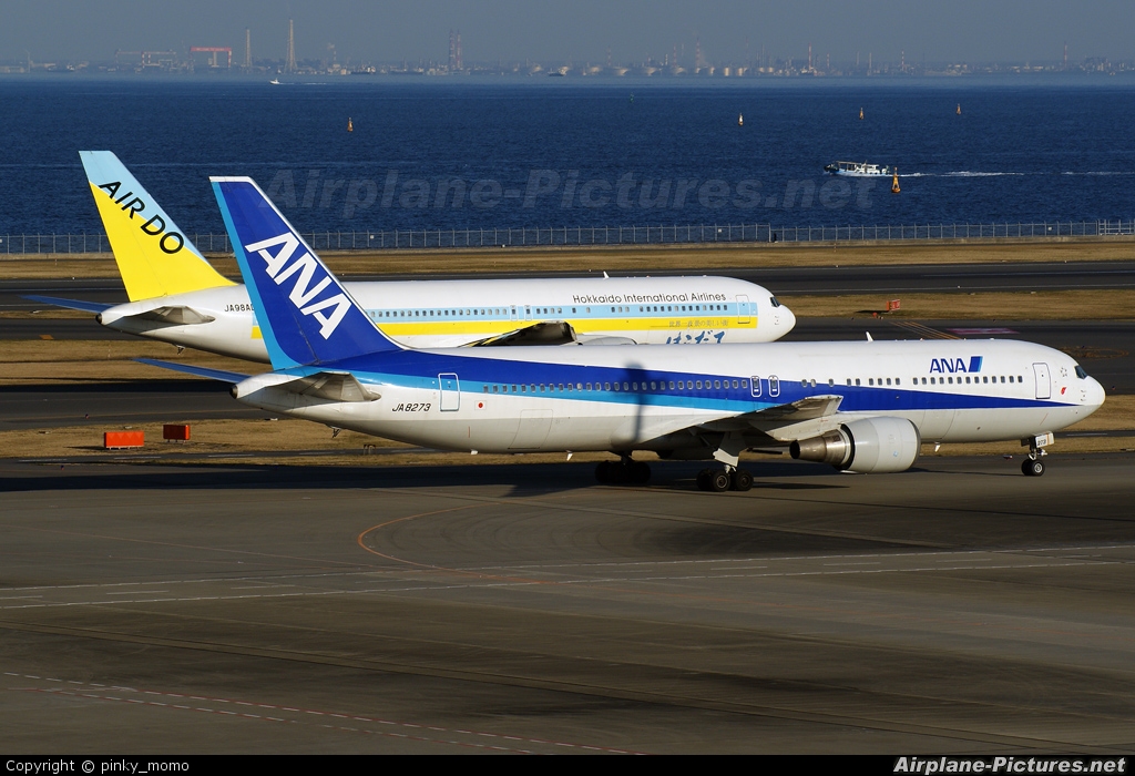 ANA - All Nippon Airways JA8273 aircraft at Tokyo - Haneda Intl