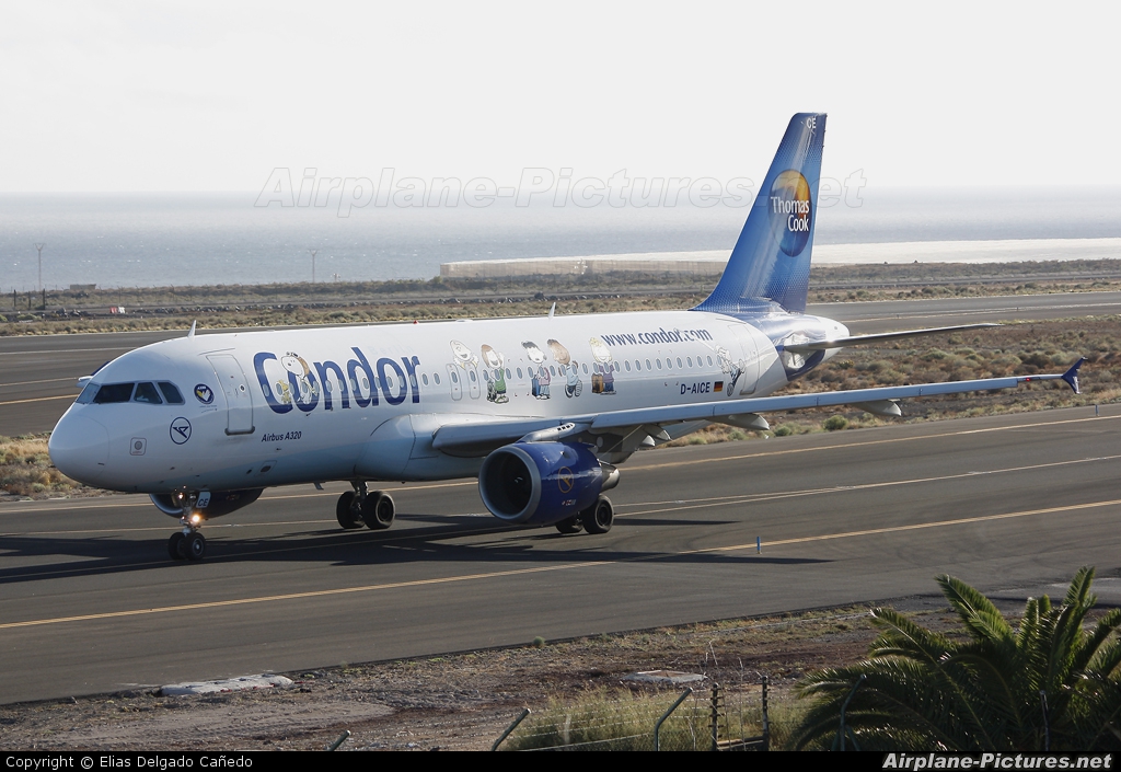 Condor D-AICE aircraft at Tenerife Sur - Reina Sofia