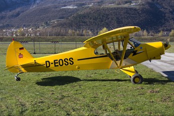 D-EOSS - Private Piper PA-18 Super Cub