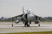 Royal Air Force ZH664 image