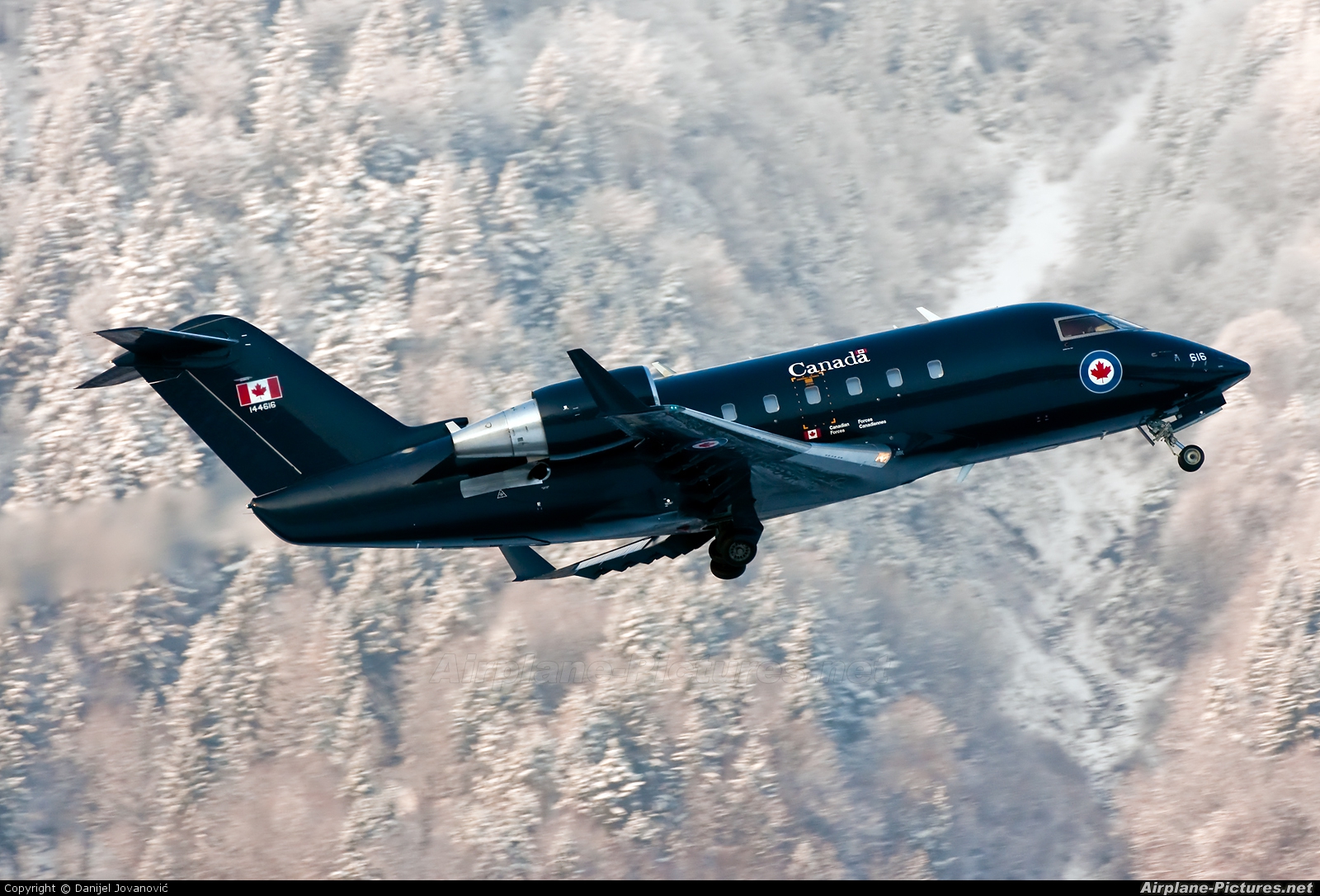 Canada - Air Force 144616 aircraft at Innsbruck