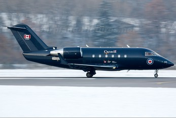 144616 - Canada - Air Force Canadair CC-144 Challenger