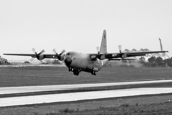 Z21117 - Tunisia - Air Force Lockheed C-130B Hercules