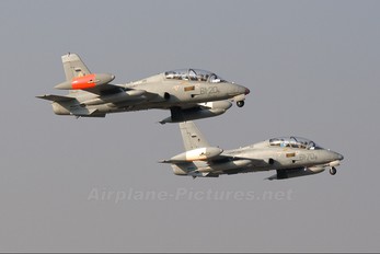 MM55055 - Italy - Air Force Aermacchi MB-339A