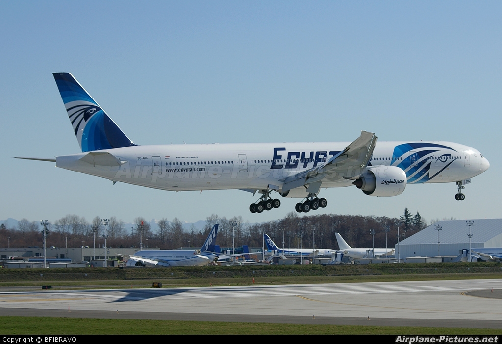 Egyptair SU-GDL aircraft at Everett - Snohomish County / Paine Field