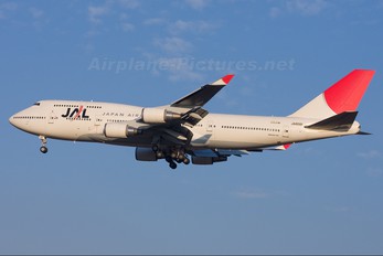 JA8081 - JAL - Japan Airlines Boeing 747-400