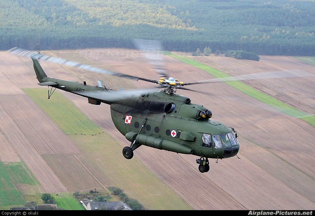 Poland - Army 607 aircraft at In Flight - Poland