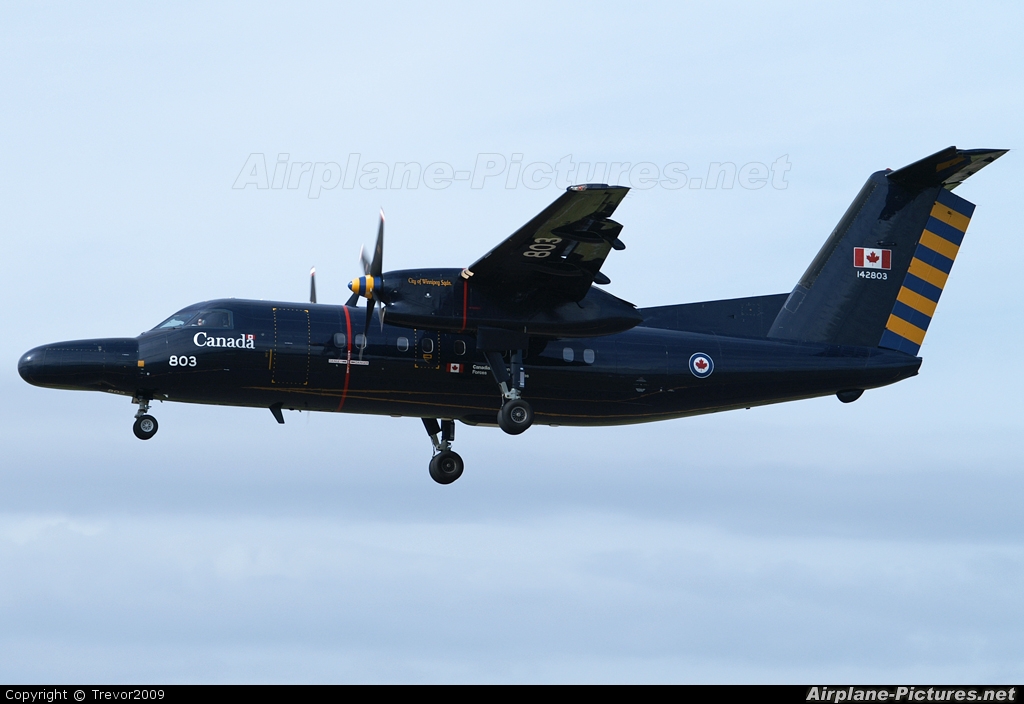Canada - Air Force 142803 aircraft at Fairford