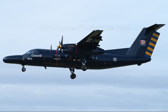 142803 - Canada - Air Force de Havilland Canada CT-142 Dash 8