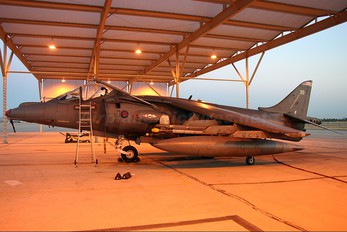 ZD401 - Royal Air Force British Aerospace Harrier GR.7