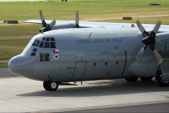995 - Chile - Air Force Lockheed C-130H Hercules