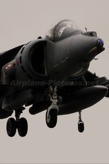 ZD436 - Royal Air Force British Aerospace Harrier GR.7
