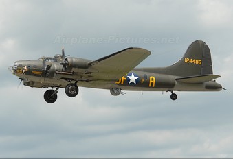 N3703G - Military Aircraft Restoration Corp. Boeing B-17G Flying Fortress