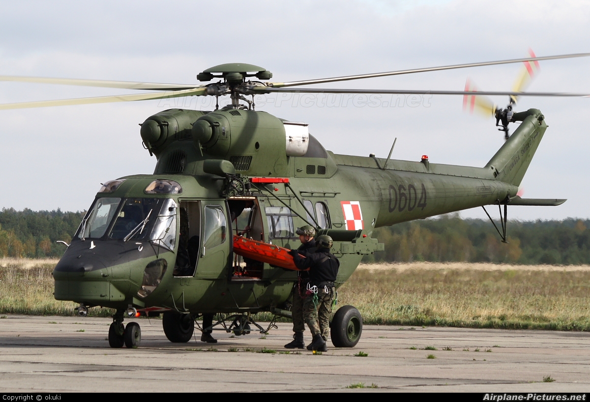 Poland - Army 0604 aircraft at Undisclosed location