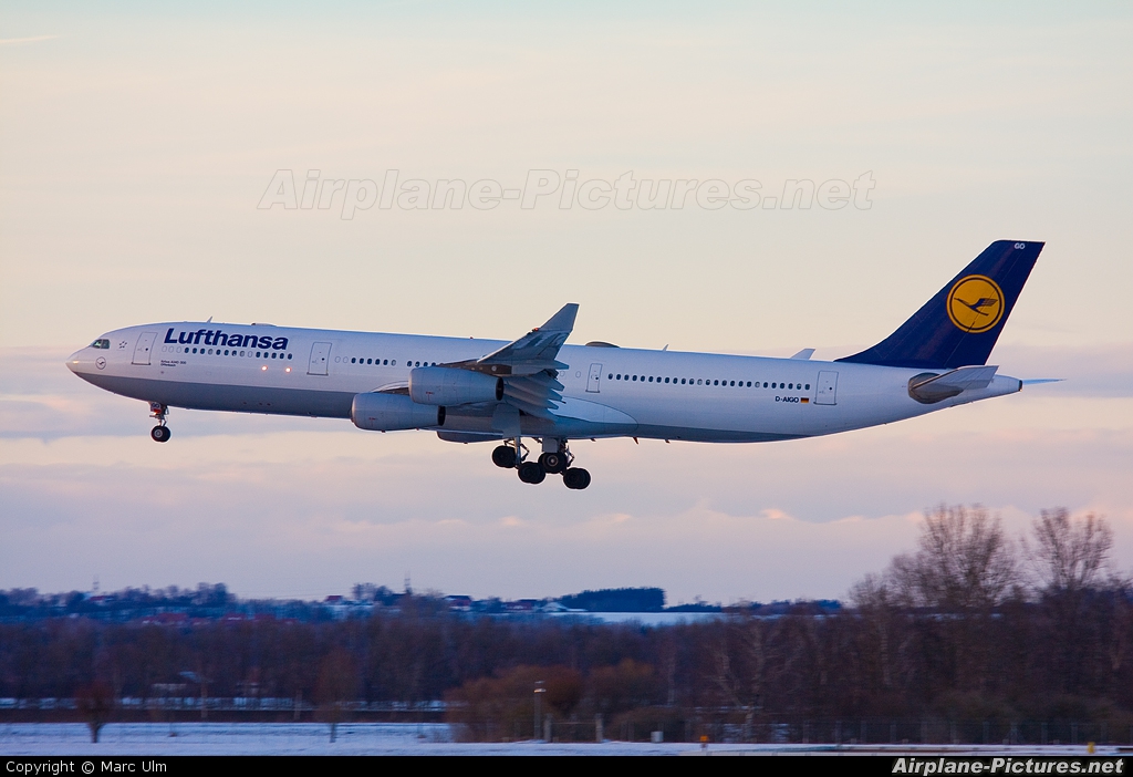 Lufthansa D-AIGO aircraft at Munich