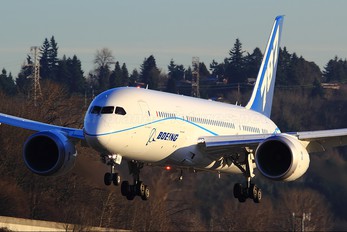 N7874 - Boeing Company Boeing 787-8 Dreamliner