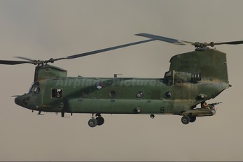 D-101 - Netherlands - Air Force Boeing CH-47D Chinook