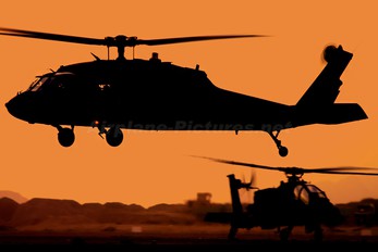 - - USA - Army Sikorsky UH-60A Black Hawk